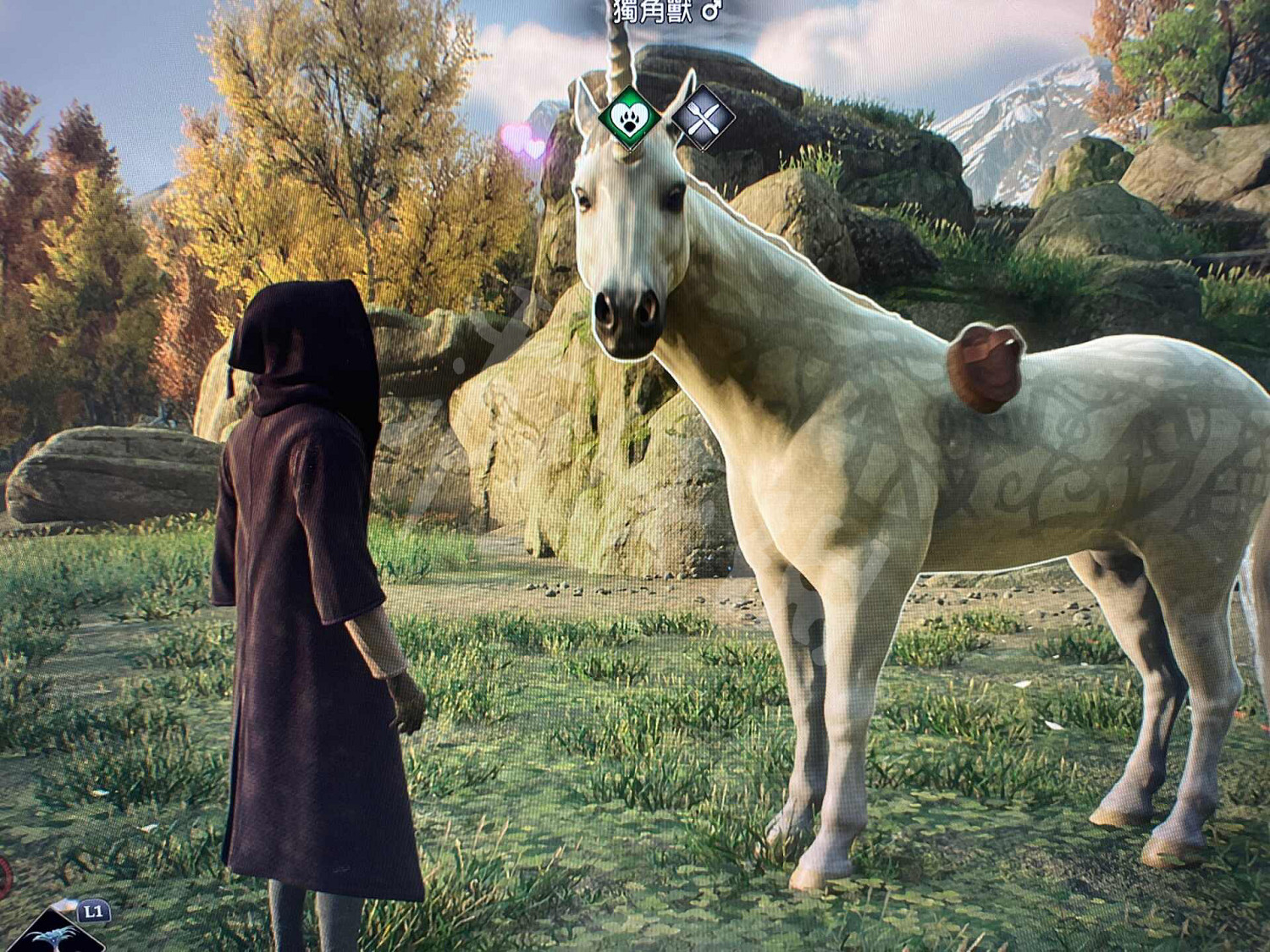 《霍格華茲的傳承》獨角獸怎麽抓?獨角獸抓法分享 《霍格華茲的傳承》獨角獸怎麽抓?獨角獸抓法分享