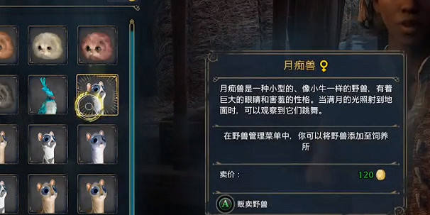 《霍格華茲的傳承》怎麽賺錢?快速獲得金幣方法 《霍格華茲的傳承》怎麽賺錢?快速獲得金幣方法