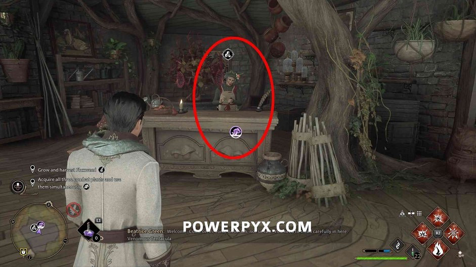 《霍格華茲的傳承》植物種子有哪些？全植物種子收集攻略