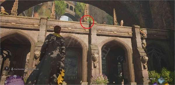 《霍格華茲的傳承》多多石在哪？霍格華茲的傳承多多石收集路線推薦