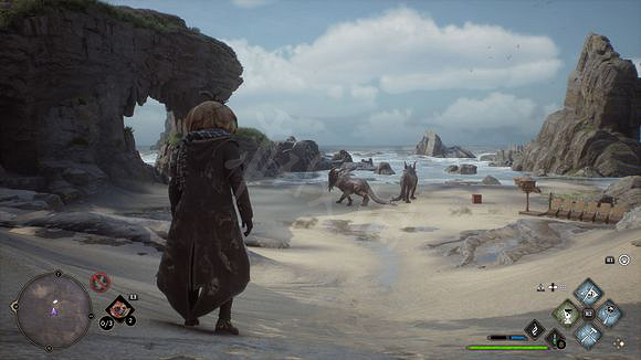 《霍格華茲的傳承》養殖場有幾個?養殖場介紹 《霍格華茲的傳承》養殖場有幾個?養殖場介紹