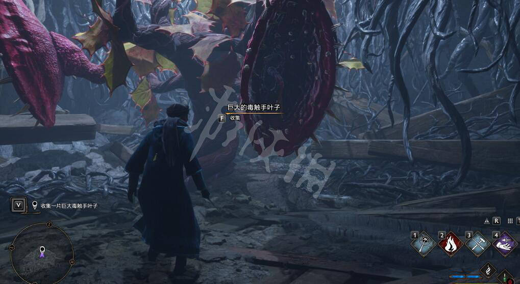 《霍格華茲的傳承》支線任務劇毒勇氣怎麽做？劇毒勇氣支線攻略