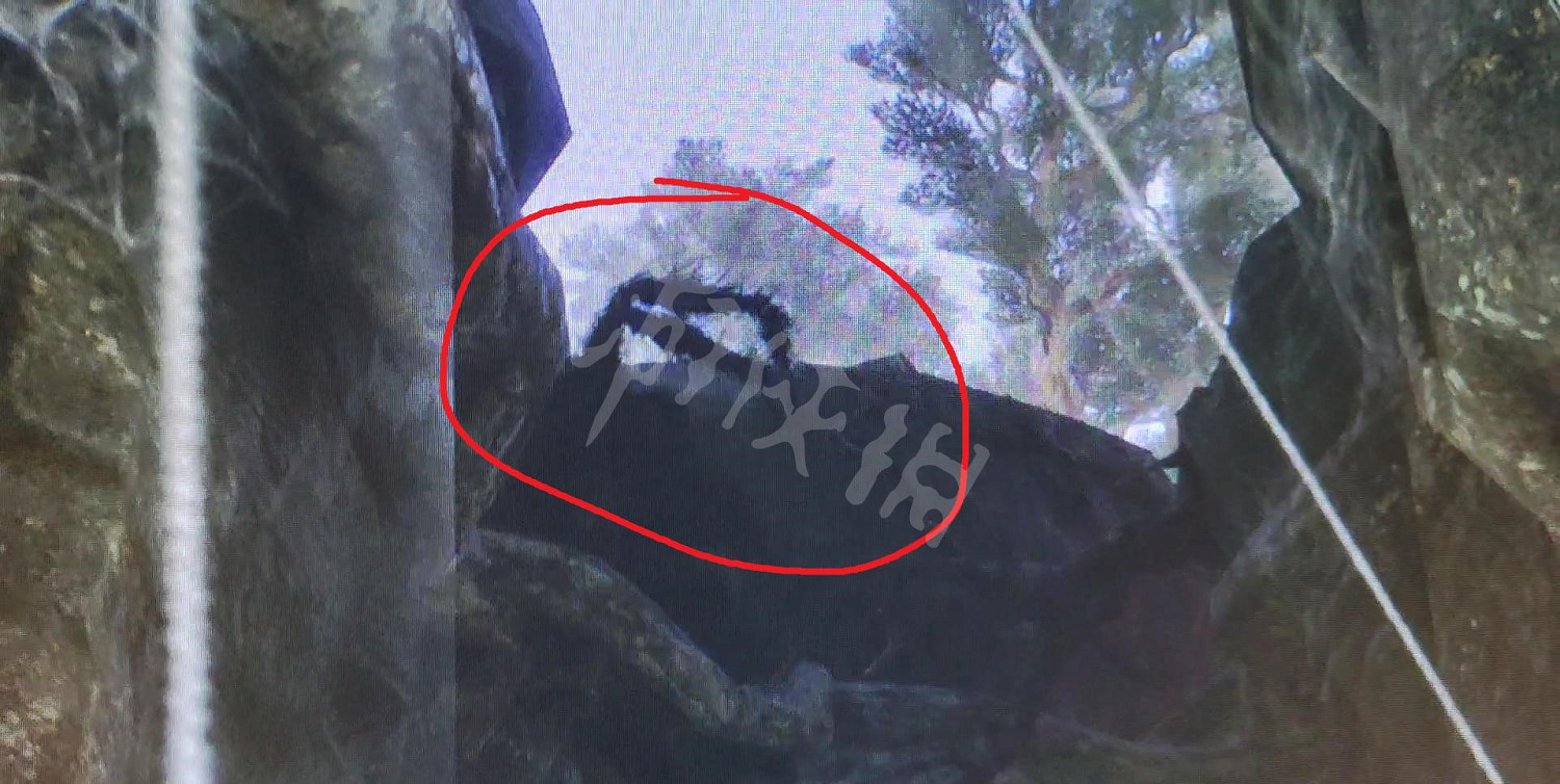 《霍格華茲的傳承》逃賊支線蜘蛛如何逃課？蜘蛛卡位擊殺方法分享