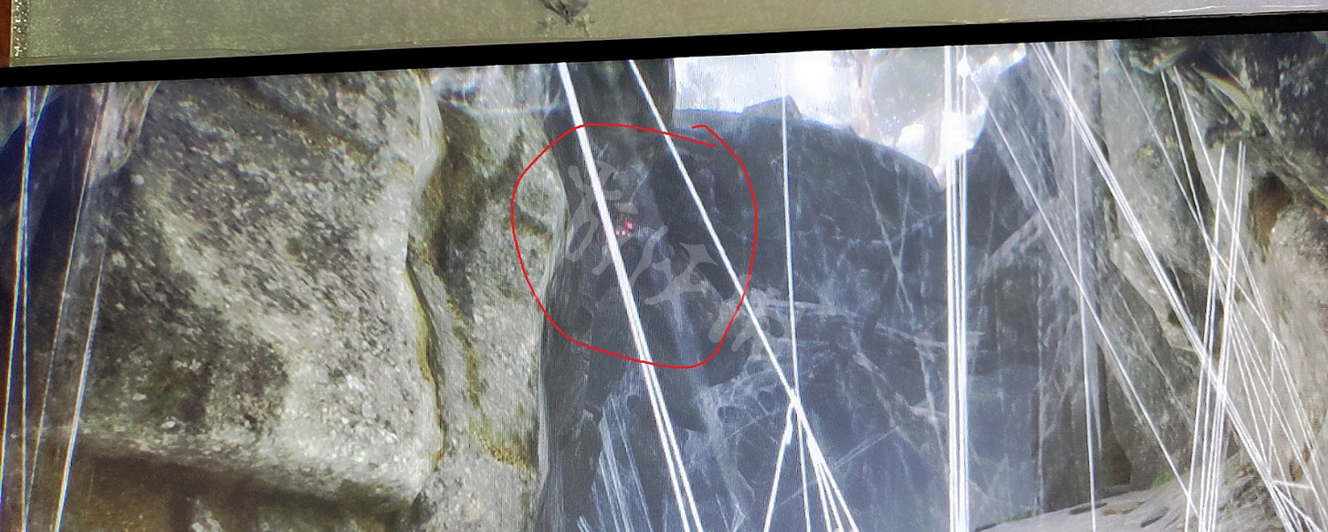 《霍格華茲的傳承》逃賊支線蜘蛛如何逃課？蜘蛛卡位擊殺方法分享