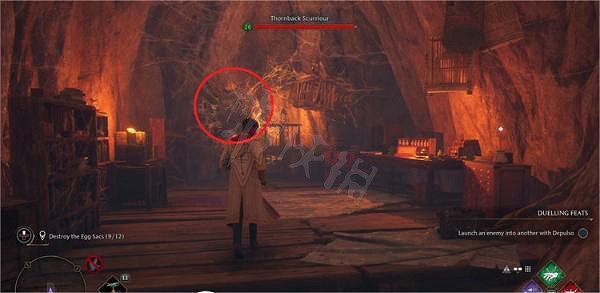 《霍格華茲的傳承》糾結的網支線任務怎麽做？糾結的網支線任務流程介紹