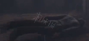 《霍格華茲的傳承》整整，石化怎麽解鎖？整整，石化解鎖方法