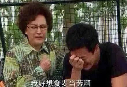 我單方面宣布，玩梗這方面麥當勞薄紗肯德基