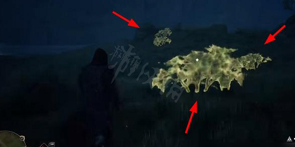 《霍格華茲的傳承》草蛉蟲怎麽獲得?霍格華茲的傳承草蛉蟲獲得方法 《霍格華茲的傳承》草蛉蟲怎麽獲得?霍格華茲的傳承草蛉蟲獲得方法