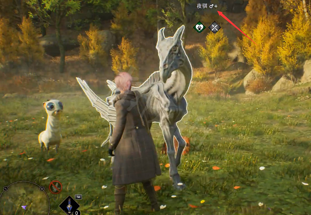 《霍格華茲的傳承》閃光動物怎麽刷？刷閃光動物方法