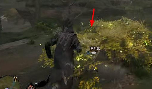 《霍格華茲的傳承》草蛉蟲怎麽獲得?霍格華茲的傳承草蛉蟲獲得方法 《霍格華茲的傳承》草蛉蟲怎麽獲得?霍格華茲的傳承草蛉蟲獲得方法