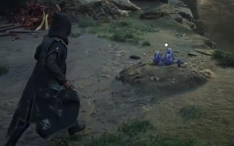 《霍格華茲的傳承》霍克拉普汁怎麽獲得？霍克拉普汁位置介紹