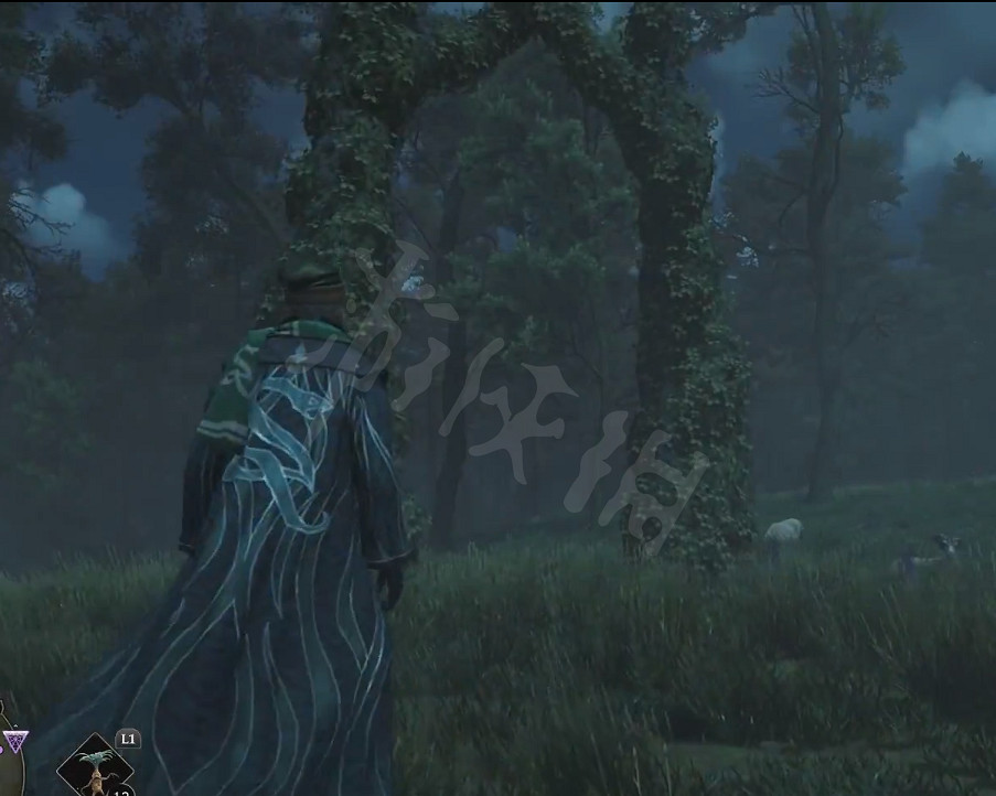 《霍格華茲的傳承》樹籬迷宮是什麽?樹籬迷宮介紹 《霍格華茲的傳承》樹籬迷宮是什麽?樹籬迷宮介紹