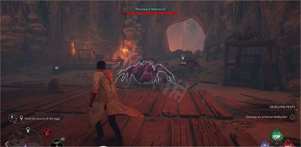 《霍格華茲的傳承》糾結的網支線任務怎麽做？糾結的網支線任務流程介紹