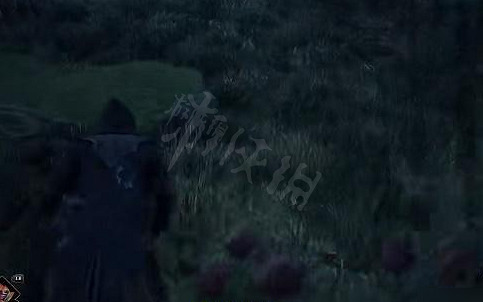 《霍格華茲的傳承》草蛉蟲怎麽獲得?霍格華茲的傳承草蛉蟲獲得方法 《霍格華茲的傳承》草蛉蟲怎麽獲得?霍格華茲的傳承草蛉蟲獲得方法