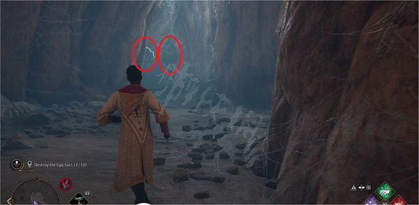 《霍格華茲的傳承》糾結的網支線任務怎麽做？糾結的網支線任務流程介紹