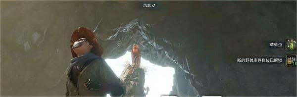 《霍格華茲的傳承》鳳凰崛起支線任務怎麽做?鳳凰崛起支線任務流程介紹 《霍格華茲的傳承》鳳凰崛起支線任務怎麽做?鳳凰崛起支線任務流程介紹