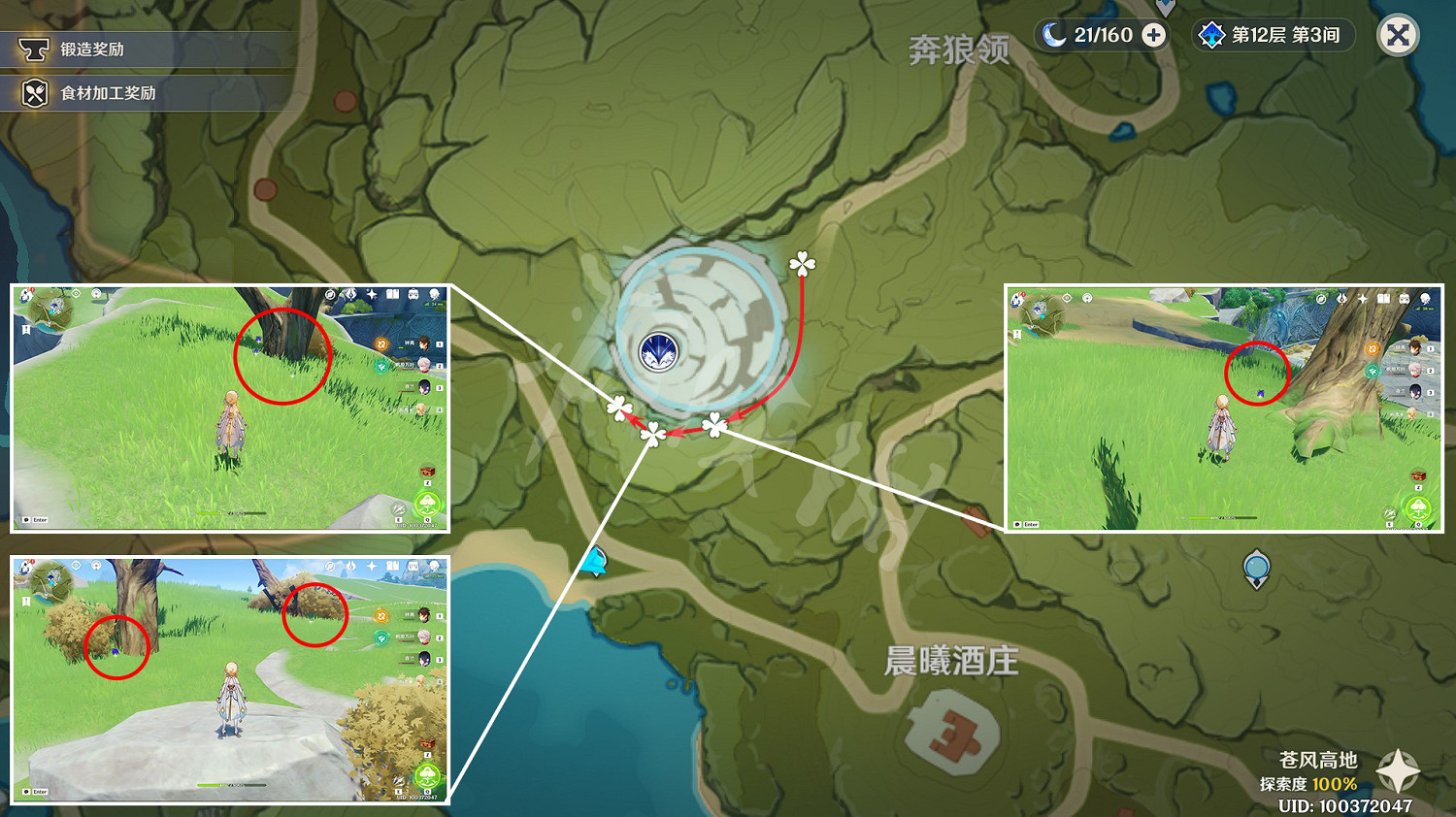 《原神》鉤鉤果位置在哪？3.4鉤鉤果採集路線