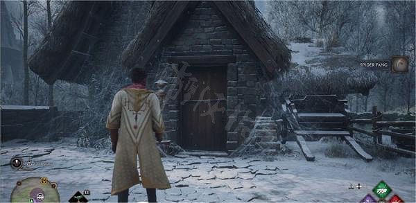 《霍格華茲的傳承》糾結的網支線任務怎麽做？糾結的網支線任務流程介紹