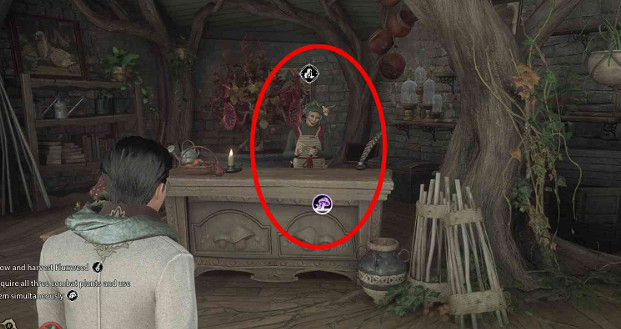 《霍格華茲的傳承》縮皺無花果種子怎麽獲得？縮皺無花果種子獲得方法