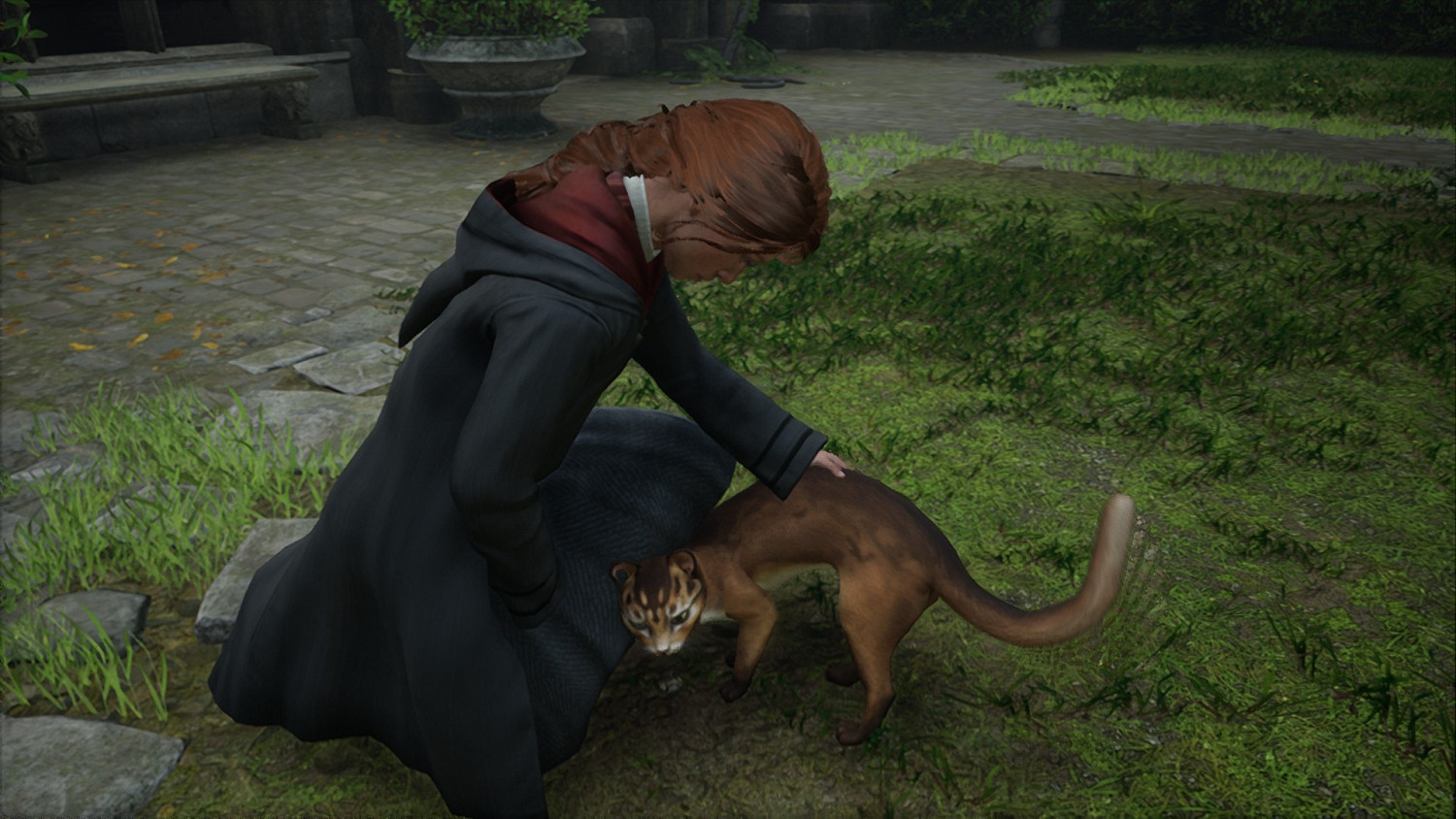 《霍格華茲的傳承》收集解謎技巧分享 收集有哪些技巧? 《霍格華茲的傳承》收集解謎技巧分享 收集有哪些技巧?