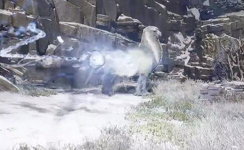 《霍格華茲的傳承》怎麽抓動物?野獸捕捉方法 《霍格華茲的傳承》怎麽抓動物?野獸捕捉方法