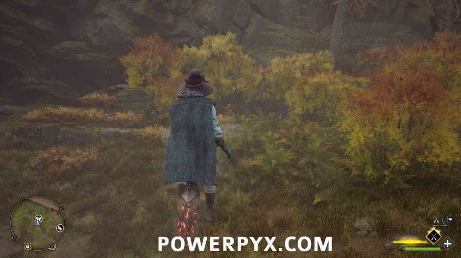 《霍格華茲的傳承》蝴蝶位置大全 蝴蝶寶箱位置在哪? 《霍格華茲的傳承》蝴蝶位置大全 蝴蝶寶箱位置在哪?