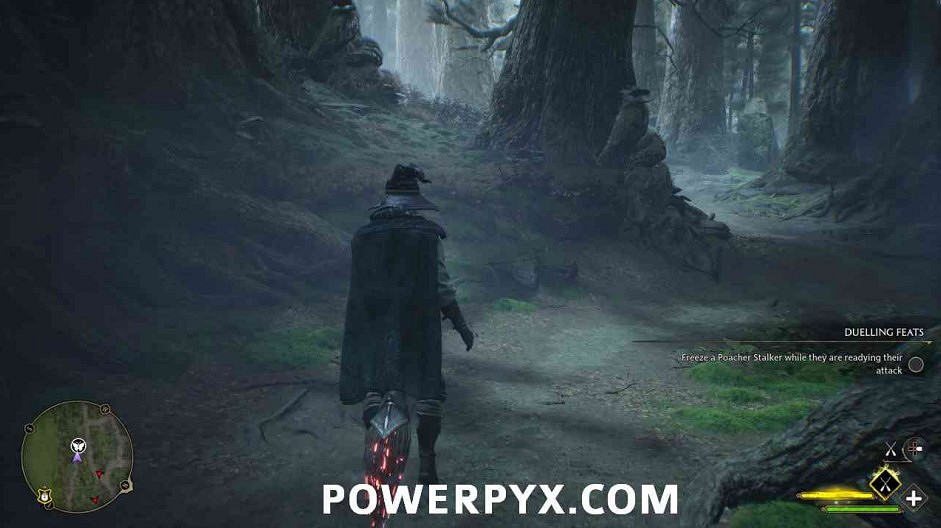 《霍格華茲的傳承》蝴蝶位置大全 蝴蝶寶箱位置在哪？