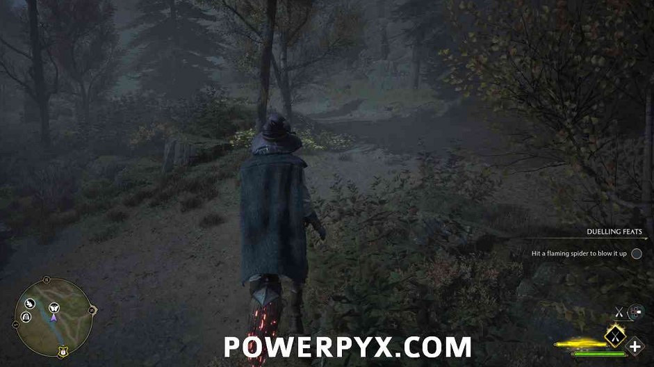 《霍格華茲的傳承》蝴蝶位置大全 蝴蝶寶箱位置在哪？