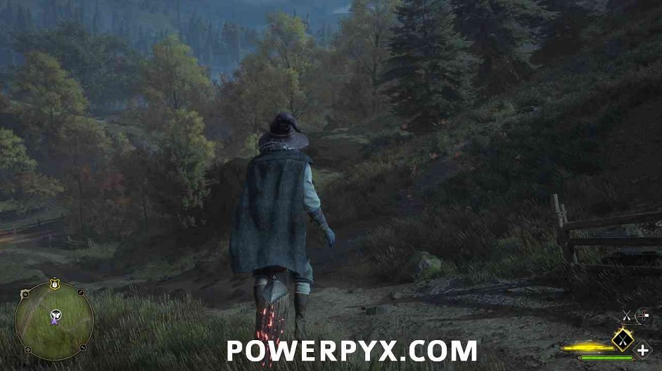 《霍格華茲的傳承》蝴蝶位置大全 蝴蝶寶箱位置在哪？