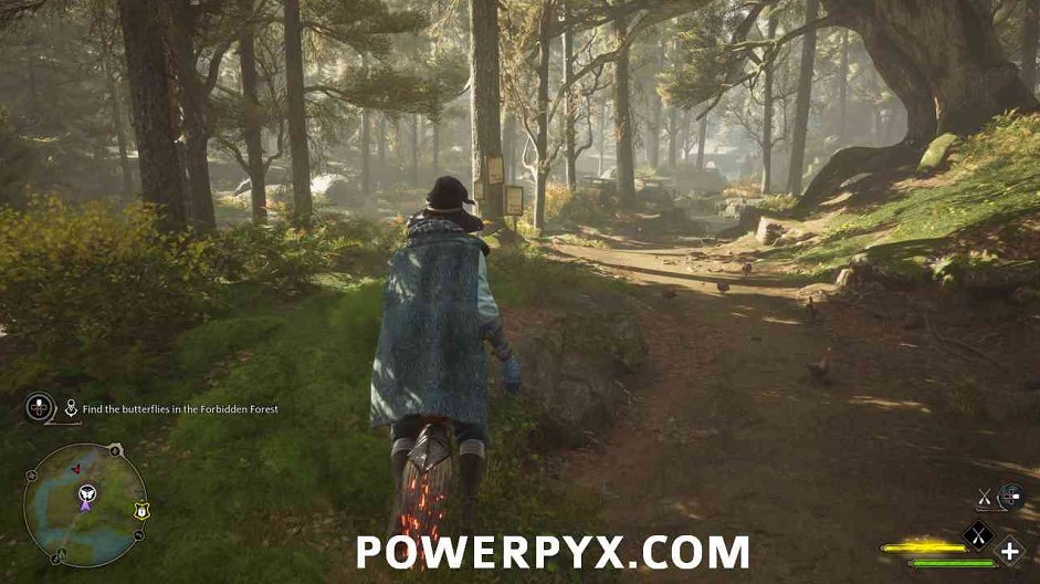 《霍格華茲的傳承》蝴蝶位置大全 蝴蝶寶箱位置在哪？