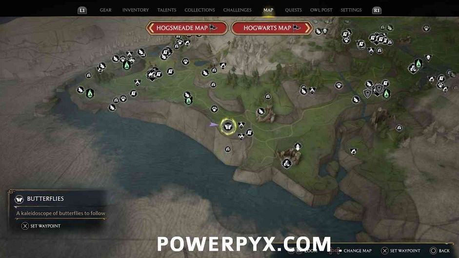 《霍格華茲的傳承》蝴蝶位置大全 蝴蝶寶箱位置在哪？