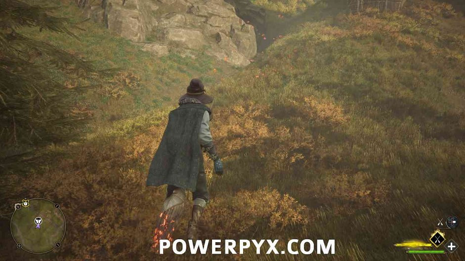 《霍格華茲的傳承》蝴蝶位置大全 蝴蝶寶箱位置在哪？