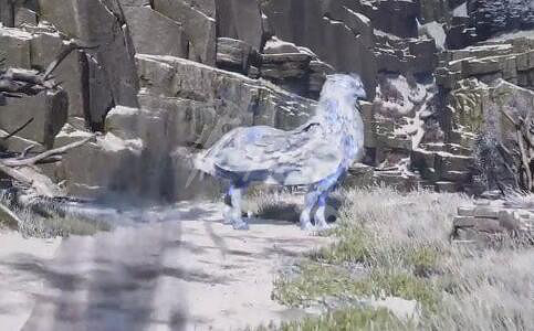 《霍格華茲的傳承》怎麽抓動物?野獸捕捉方法 《霍格華茲的傳承》怎麽抓動物?野獸捕捉方法