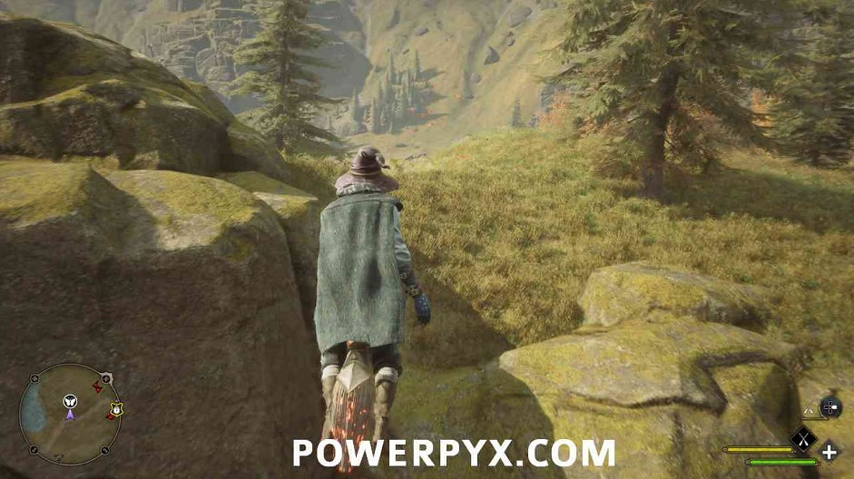 《霍格華茲的傳承》蝴蝶位置大全 蝴蝶寶箱位置在哪？