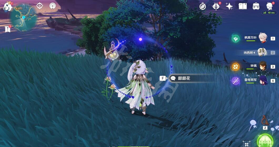 《原神》騙騙花哪裡多？3.4版本騙騙花採集路線