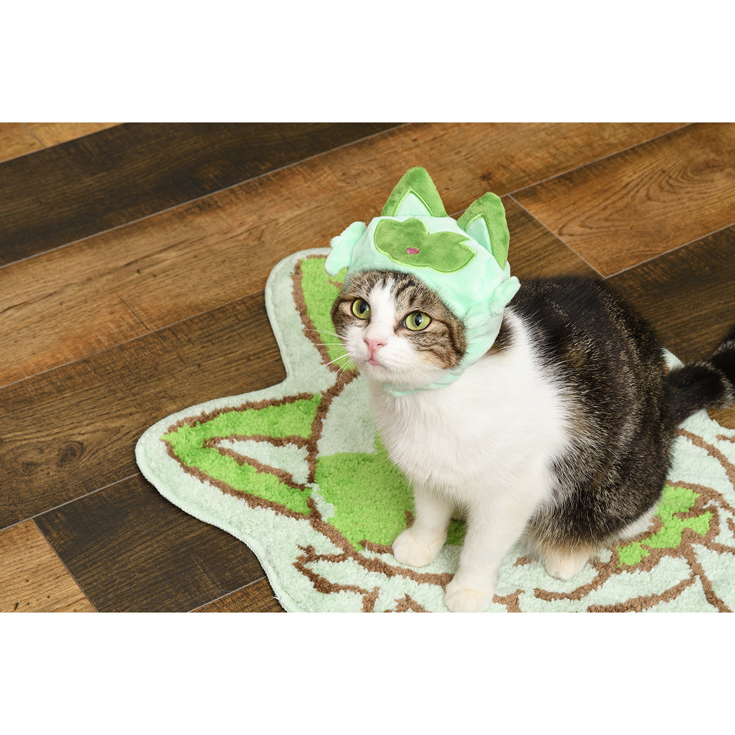 2月22日貓之日 寶可夢新花旦“新葉喵”主題周邊推出