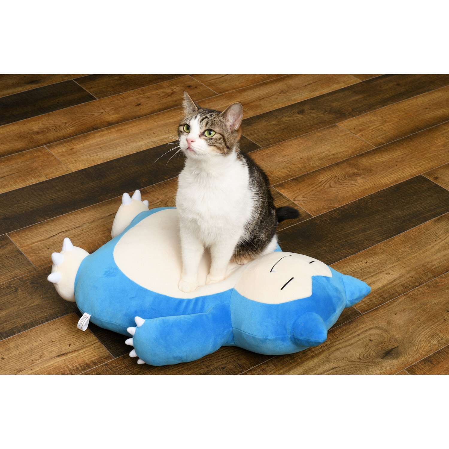 2月22日貓之日 寶可夢新花旦“新葉喵”主題周邊推出