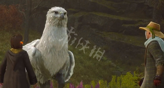 《霍格華茲的傳承》坐騎怎麽解鎖?坐騎任務觸發方法 《霍格華茲的傳承》坐騎怎麽解鎖?坐騎任務觸發方法