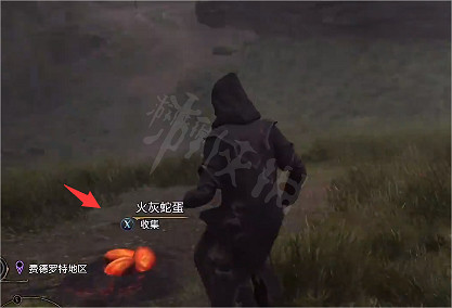 《霍格華茲的傳承》火灰蛇蛋在哪?火灰蛇蛋獲得方法 《霍格華茲的傳承》火灰蛇蛋在哪?火灰蛇蛋獲得方法