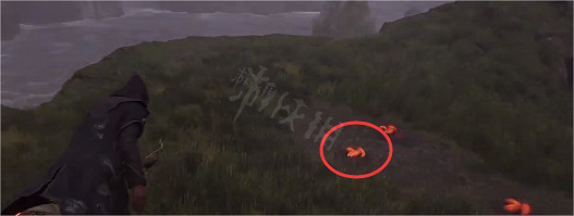 《霍格華茲的傳承》火灰蛇蛋在哪?火灰蛇蛋獲得方法 《霍格華茲的傳承》火灰蛇蛋在哪?火灰蛇蛋獲得方法