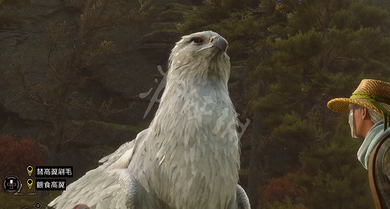 《霍格華茲的傳承》坐騎怎麽解鎖?坐騎任務觸發方法 《霍格華茲的傳承》坐騎怎麽解鎖?坐騎任務觸發方法