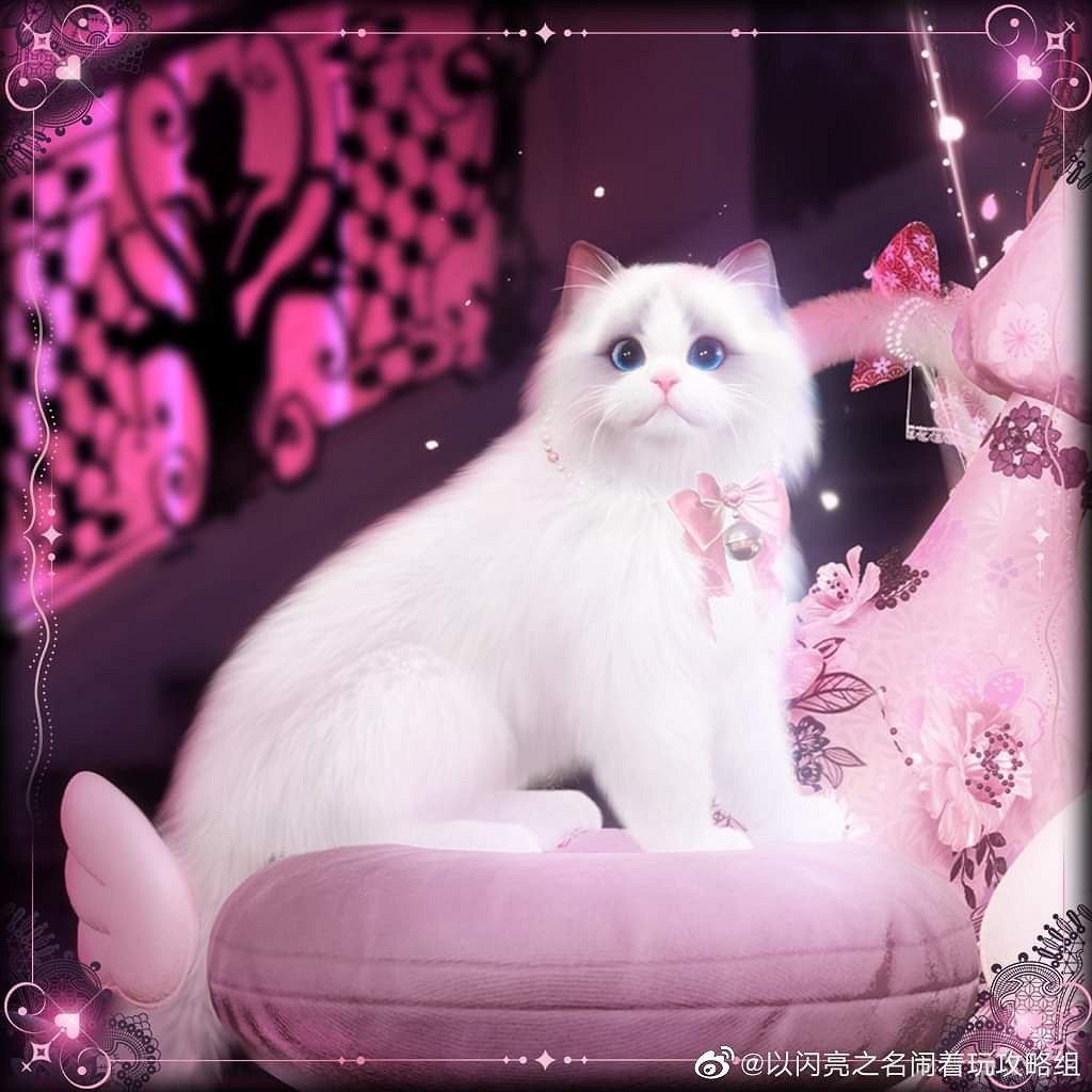 《以閃亮之名》喵憩心語套裝介紹 喵憩心語細節展示 《以閃亮之名》喵憩心語套裝介紹 喵憩心語細節展示