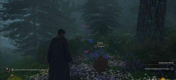 《霍格華茲的傳承》跟隨蝴蝶支線介紹 跟隨蝴蝶支線怎麽做? 《霍格華茲的傳承》跟隨蝴蝶支線介紹 跟隨蝴蝶支線怎麽做?