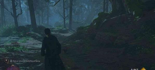 《霍格華茲的傳承》跟隨蝴蝶支線介紹 跟隨蝴蝶支線怎麽做? 《霍格華茲的傳承》跟隨蝴蝶支線介紹 跟隨蝴蝶支線怎麽做?