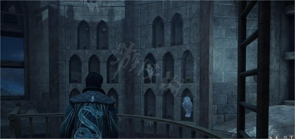 《霍格華茲的傳承》貓頭鷹書頁怎麽收集?貓頭鷹書頁收集方法 《霍格華茲的傳承》貓頭鷹書頁怎麽收集?貓頭鷹書頁收集方法