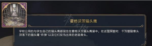 《霍格華茲的傳承》貓頭鷹書頁怎麽收集?貓頭鷹書頁收集方法 《霍格華茲的傳承》貓頭鷹書頁怎麽收集?貓頭鷹書頁收集方法