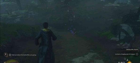 《霍格華茲的傳承》跟隨蝴蝶支線介紹 跟隨蝴蝶支線怎麽做? 《霍格華茲的傳承》跟隨蝴蝶支線介紹 跟隨蝴蝶支線怎麽做?