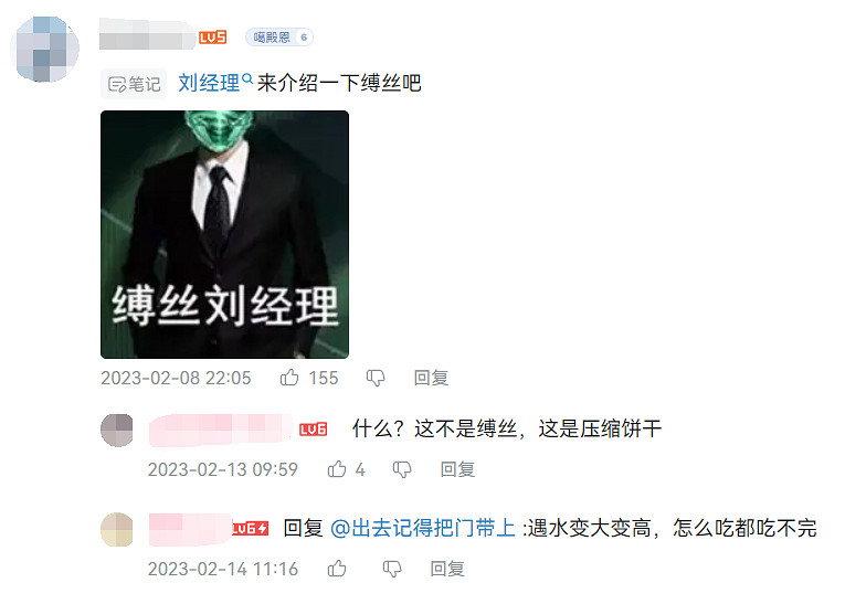 命運2更新的中文配音,讓一位“劉經理”化身賽博網紅