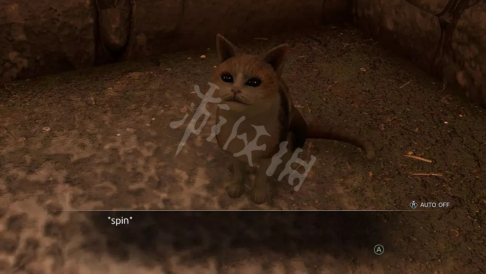 《人中之龍維新極》貓在哪？遊戲貓咪位置介紹