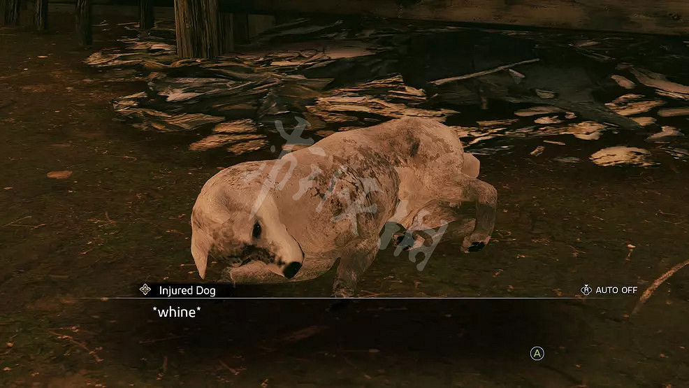 《人中之龍維新極》受傷的狗在哪?受傷的狗位置分享 《人中之龍維新極》受傷的狗在哪?受傷的狗位置分享